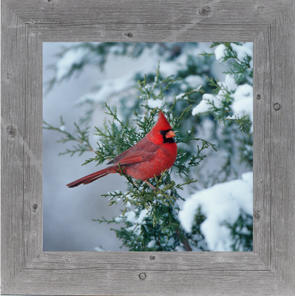 Winter Cardinals Coconut Fiber Mat, Seasonal: SERRV