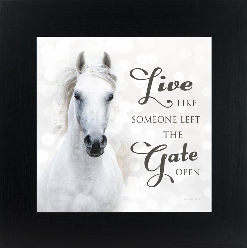 Live Like Someone Left the Gate Open by Summer Snow SS838