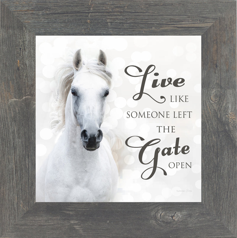 Live Like Someone Left the Gate Open by Summer Snow SS838