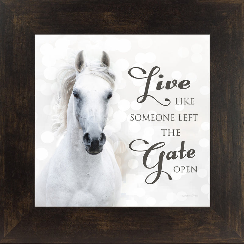 Live Like Someone Left the Gate Open by Summer Snow SS838