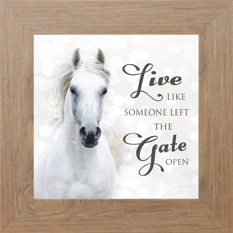 Live Like Someone Left the Gate Open by Summer Snow SS838