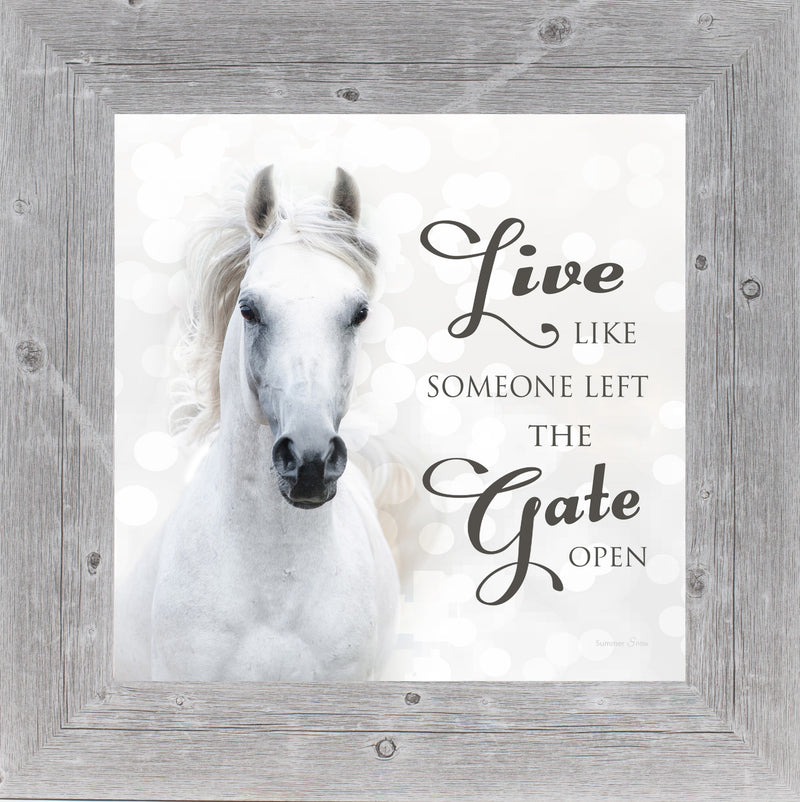 Live Like Someone Left the Gate Open by Summer Snow SS838