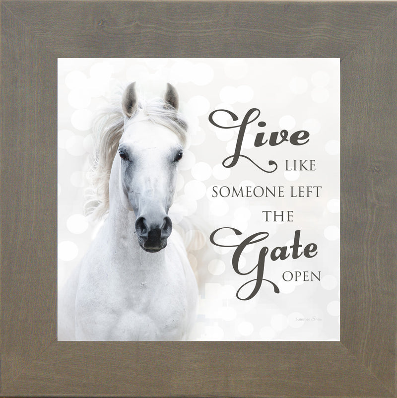 Live Like Someone Left the Gate Open by Summer Snow SS838