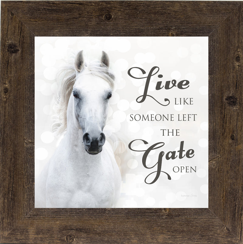 Live Like Someone Left the Gate Open by Summer Snow SS838