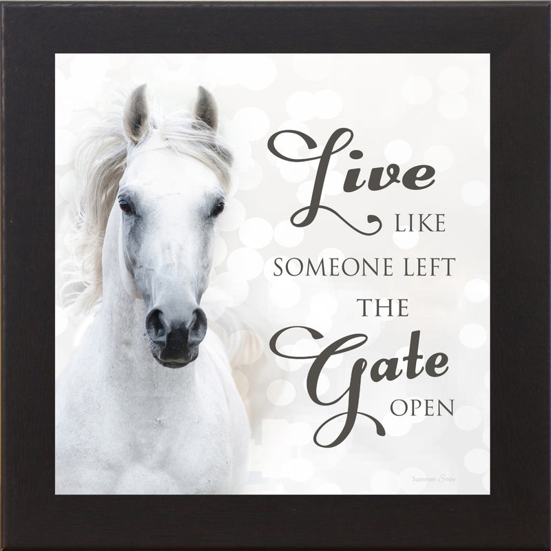 Live Like Someone Left the Gate Open by Summer Snow SS838