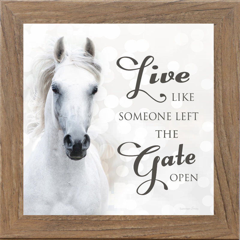 Live Like Someone Left the Gate Open by Summer Snow SS838