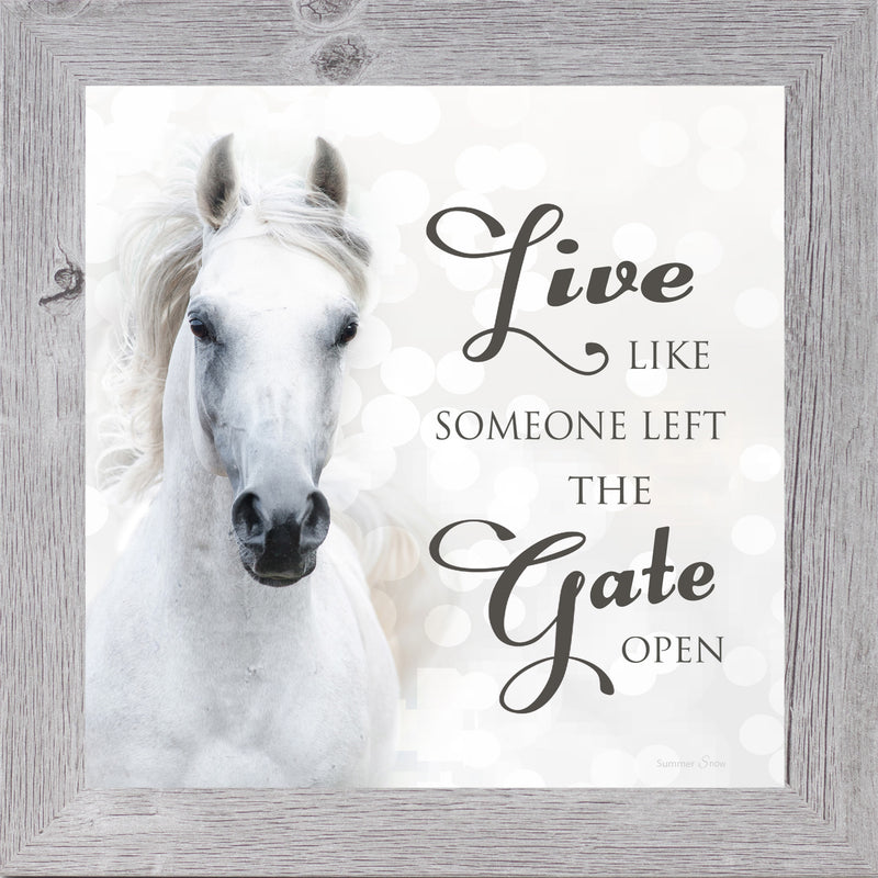 Live Like Someone Left the Gate Open by Summer Snow SS838