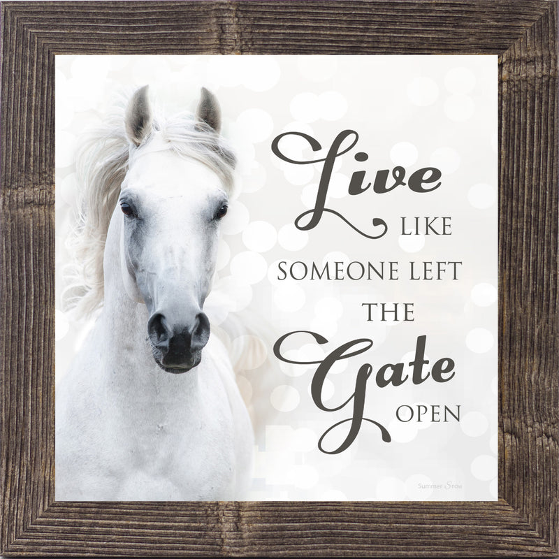 Live Like Someone Left the Gate Open by Summer Snow SS838