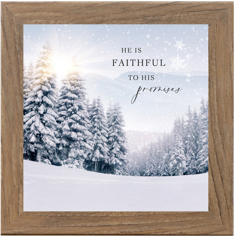 He Is Faithful to His Promises by Summer Snow SN149