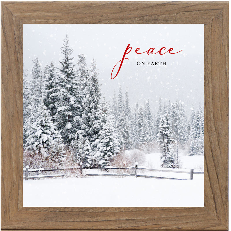 Peace on Earth by Summer Snow SN151